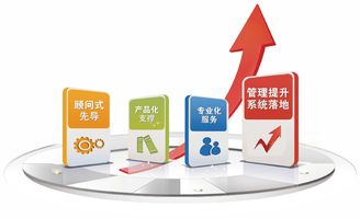 2019金慧软件老客户业务培训周如火如荼地开展，助力信息咨询服务升级